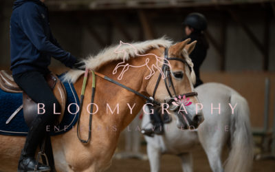 Interne Pâques 2025 – Bloomygraphy